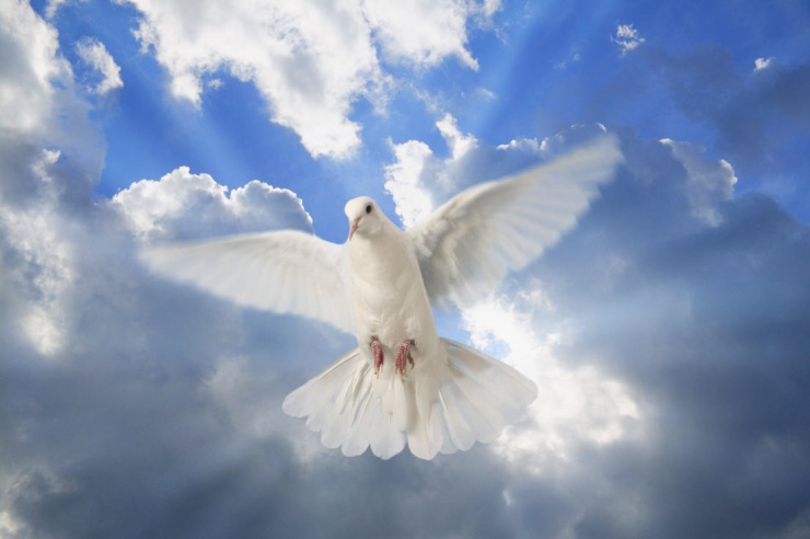 HOLY SPIRIT – YOUR PERFECT COMPANION Pr. P. M. George